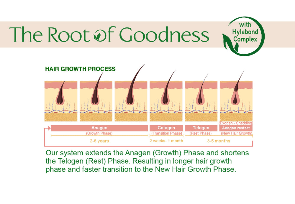 The Root Of Goodness 3 Piece Kit in a Box