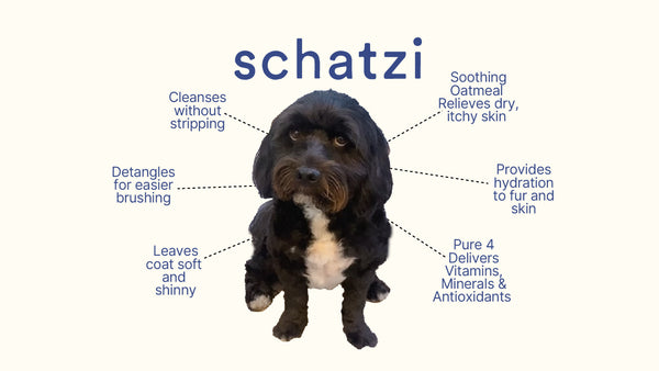 Schatzi Pet Shampoo with Pure4 & Soothing Oatmeal 8 fl oz.